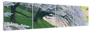 Obraz kvitnúcich stromov (Obraz 160x40cm)