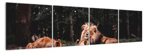 Obrazy - levy v lese (Obraz 160x40cm)