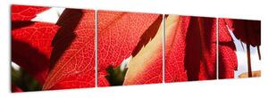 Obraz červených listov (Obraz 160x40cm)