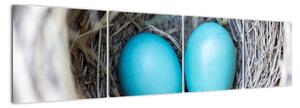 Obraz modrých vajíčok v hniezde (Obraz 160x40cm)