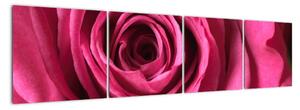 Obraz ružové ruže (Obraz 160x40cm)