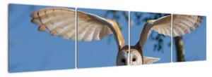 Obraz letiaci sovy (Obraz 160x40cm)