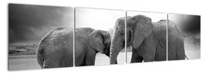Obraz - slony (Obraz 160x40cm)