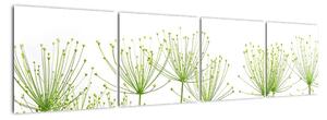 Obraz rastlín na bielom pozadí (Obraz 160x40cm)