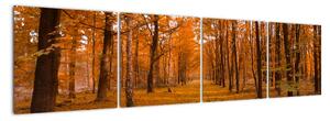 Obraz lesné cesty (Obraz 160x40cm)