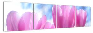 Obraz ružových tulipánov (Obraz 160x40cm)