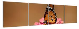 Obraz motýľa (Obraz 160x40cm)