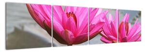 Obraz dvoch kvetov (Obraz 160x40cm)