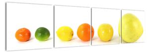 Obraz - ovocie (Obraz 160x40cm)
