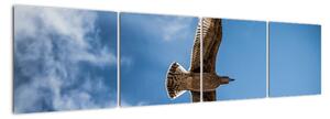 Obraz letiaceho vtáka (Obraz 160x40cm)