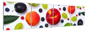 Moderné obrazy - ovocie (Obraz 160x40cm)