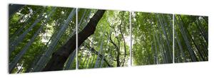 Obraz lesov (Obraz 160x40cm)