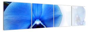 Obraz s orchideí (Obraz 160x40cm)