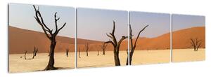 Obraz púšte (Obraz 160x40cm)