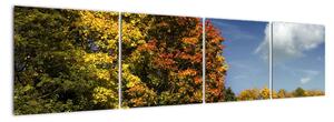 Jesenná krajina, obraz (Obraz 160x40cm)