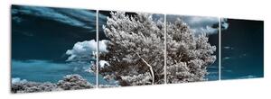 Strom v zime, obraz na stenu (Obraz 160x40cm)