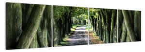 Údolie stromov, obrazy (Obraz 160x40cm)