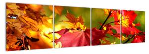 Jesenné lístie, obraz (Obraz 160x40cm)