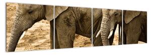 Slon, obraz (Obraz 160x40cm)