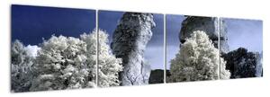 Zimná krajina - obraz do bytu (Obraz 160x40cm)