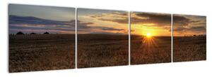 Západ slnka na poli - obraz na stenu (Obraz 160x40cm)
