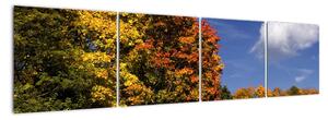 Jesenné stromy - obraz do bytu (Obraz 160x40cm)