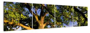 Obraz stromu (Obraz 160x40cm)