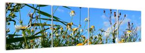 Obraz lúčnych kvetov (Obraz 160x40cm)
