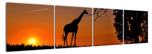 Obraz žirafy v prírode (Obraz 160x40cm)