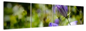 Modrá kvetina - obraz (Obraz 160x40cm)