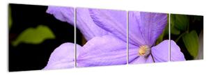 Obraz kvetu (Obraz 160x40cm)