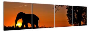 Obraz slona v prírode (Obraz 160x40cm)