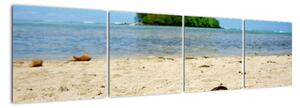 Pláž - obraz (Obraz 160x40cm)