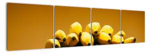 Banány na váhe - obraz na stenu (Obraz 160x40cm)