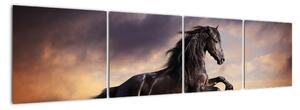 Kôň - obraz (Obraz 160x40cm)