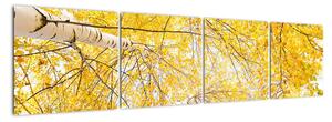 Jesenné lístie - moderný obraz (Obraz 160x40cm)