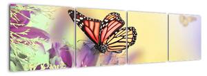 Motýle - obraz (Obraz 160x40cm)