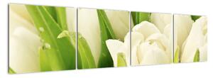 Detail tulipánov - obraz (Obraz 160x40cm)