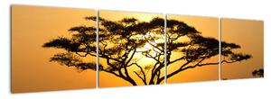 Fotka stromu - obraz (Obraz 160x40cm)