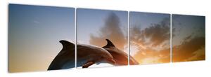 Delfíny - obraz (Obraz 160x40cm)