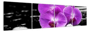 Obraz orchideí (Obraz 160x40cm)