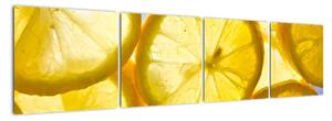 Plátky citrónov - obraz (Obraz 160x40cm)