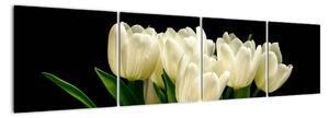 Biele tulipány - obraz (Obraz 160x40cm)