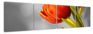 Obraz tulipánov (Obraz 160x40cm)