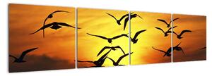 Obraz letiacich vtákov (Obraz 160x40cm)
