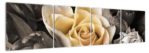 Obraz ruže (Obraz 160x40cm)