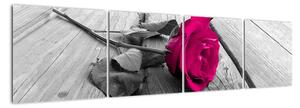 Obrazy kvetov - ruža (Obraz 160x40cm)
