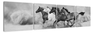 Obraz cválajúci koňov (Obraz 160x40cm)