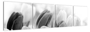 Tulipány, obraz (Obraz 160x40cm)