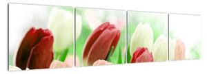 Tulipány, obraz (Obraz 160x40cm)